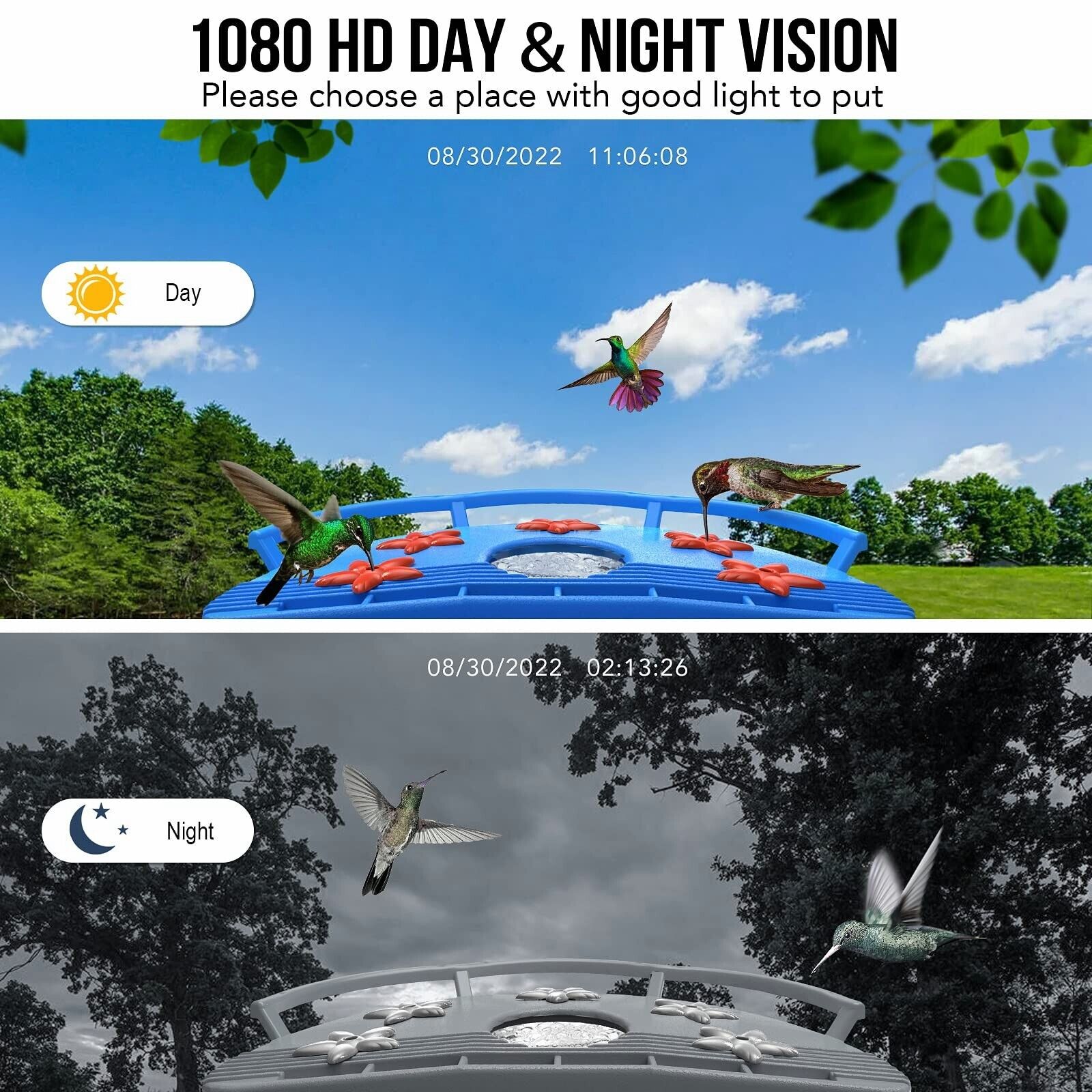 Hummingbird Feeder Camera with AI Recognition - Wild Birds