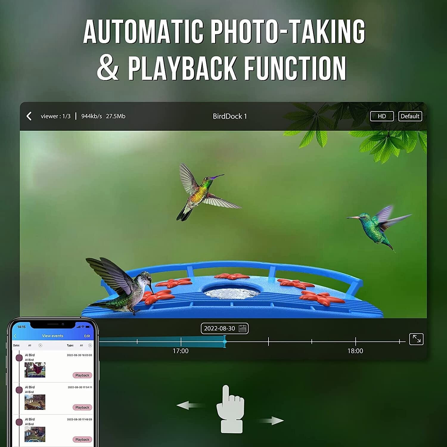 Hummingbird Feeder Camera with AI Recognition - Wild Birds