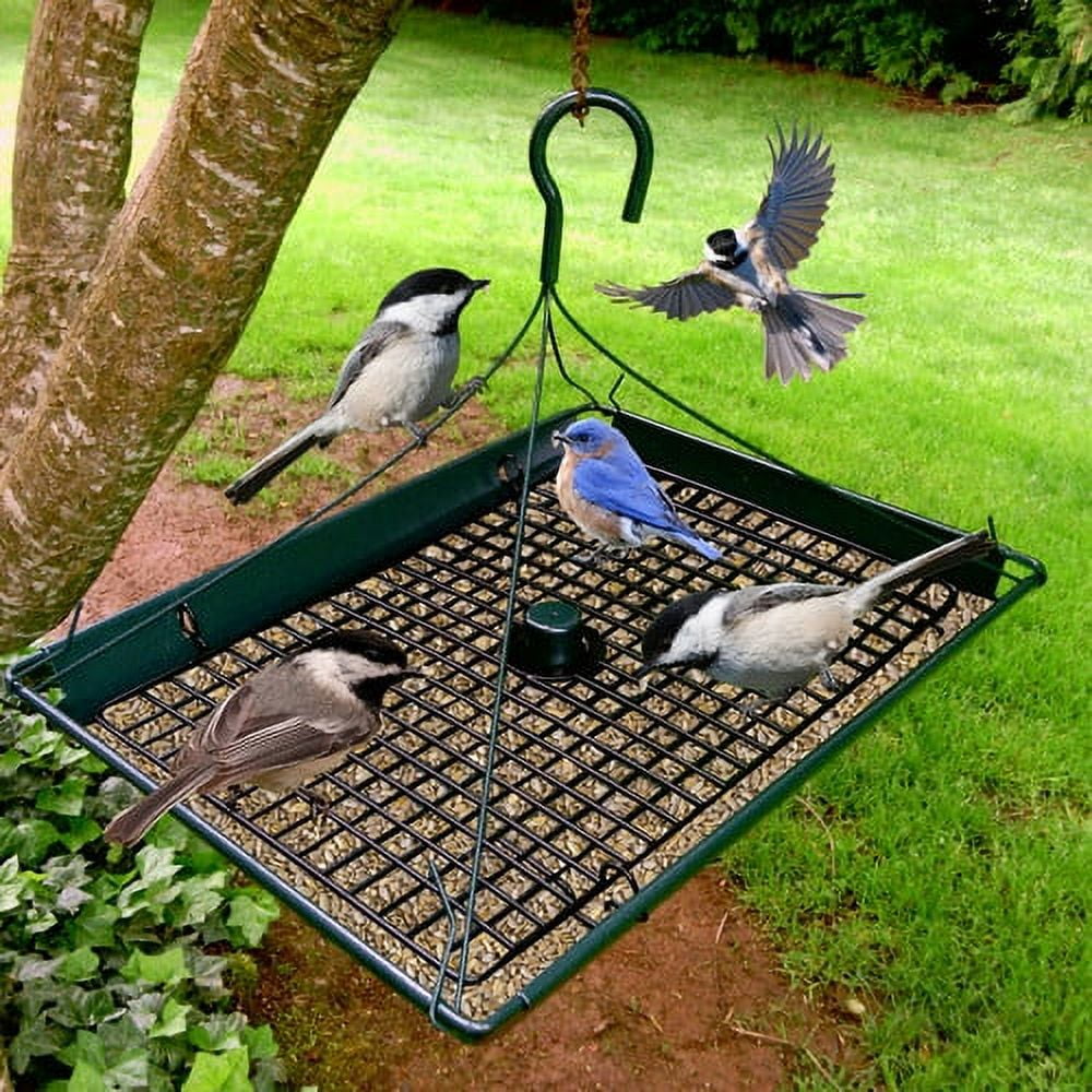 Platform Tray Bird Feeder by Zenport
