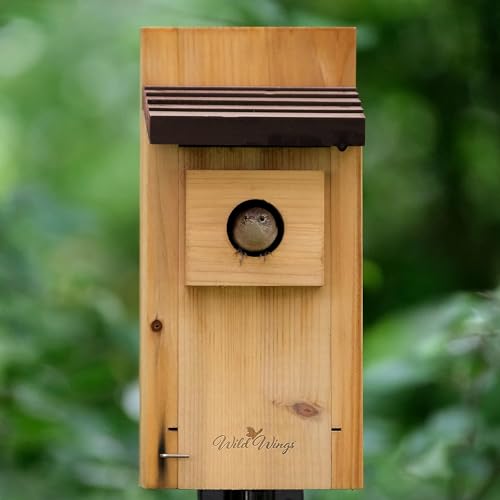 Cedar Blue Bird Box House for Wild Birds