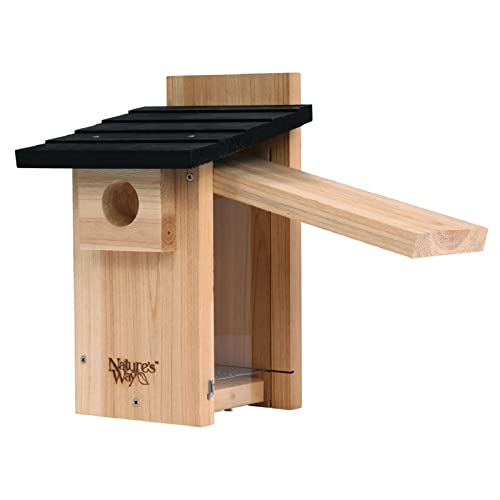Cedar Bluebird House by Nature's Way Bird Products