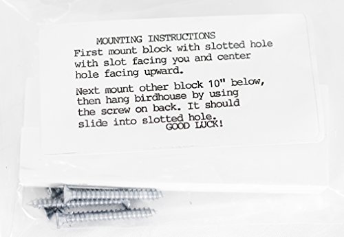 Amish Bluebird House: Eco-Friendly Recycled Plastic & Cedar