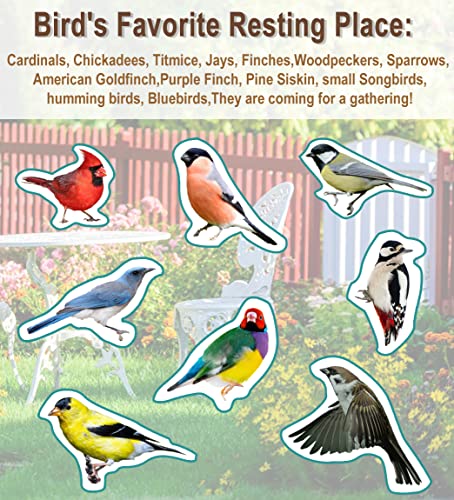 5-Prong Base Bird Bath with Metal Stake