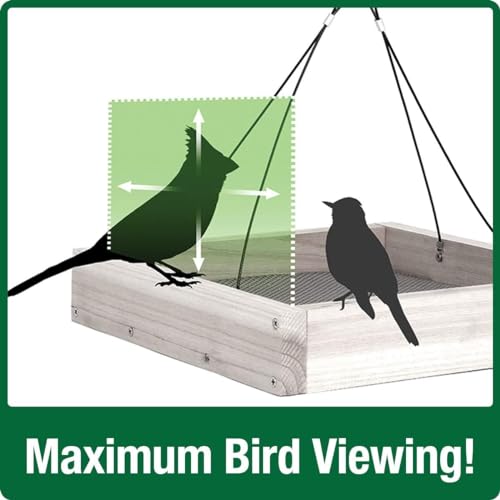 Cedar Tray Bird Feeder by Wild Wings