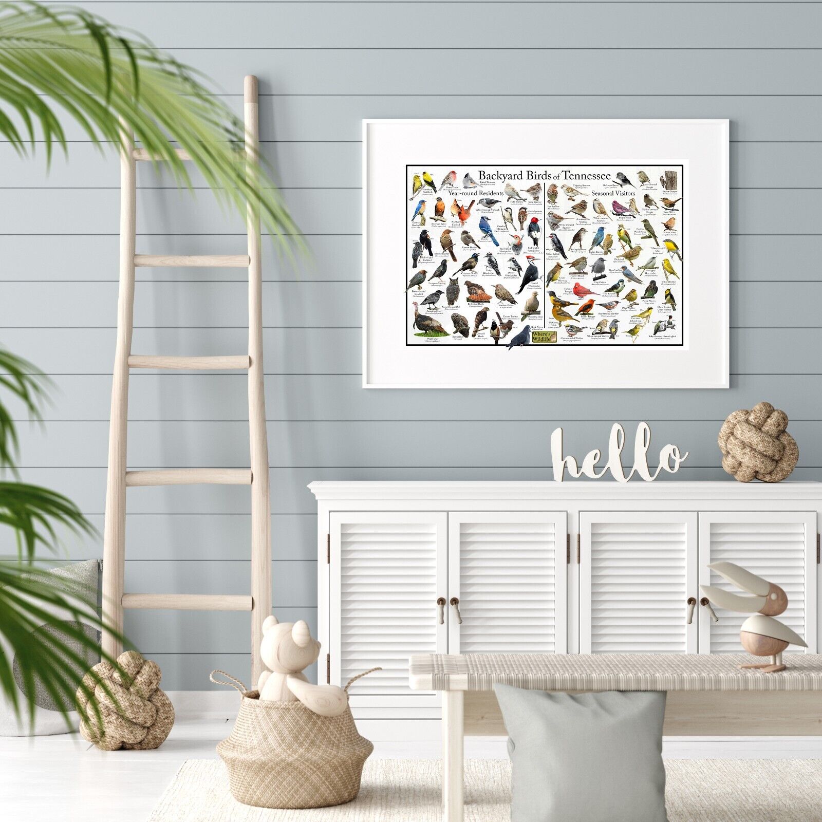 Tennessee's Backyard Birds Identification Poster / Nature Guide