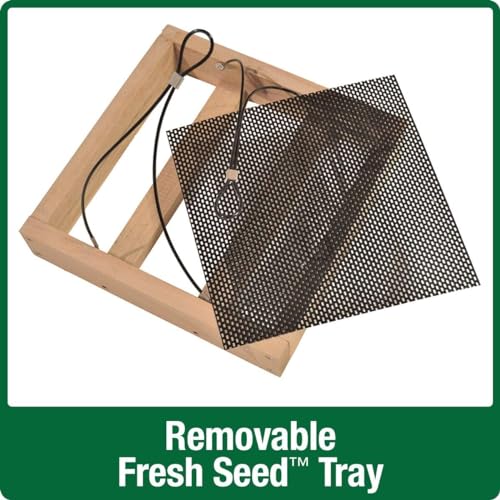 Cedar Tray Bird Feeder by Wild Wings