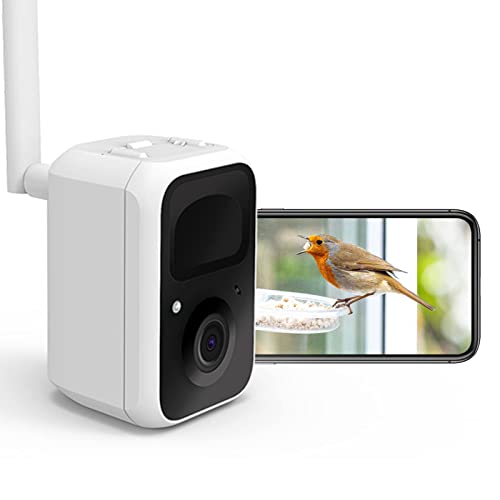 NETVUE Birdfy Lite - Smart Outdoor Bird Feeder