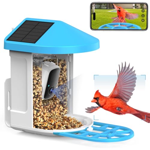 Wireless Bird Feeder Camera: AI Identify & HD Videos