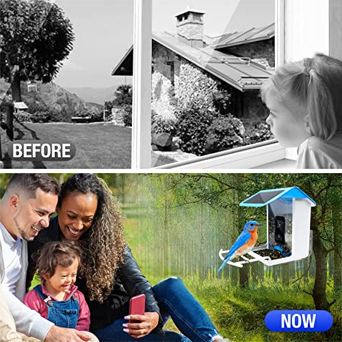 Intelligent Bird Feeder: Videos & Bird Detection Notification