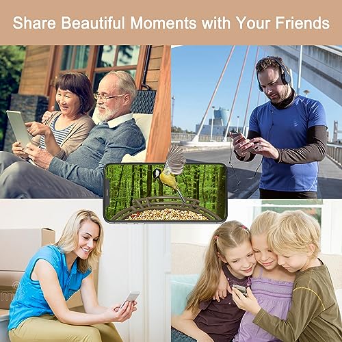 Smart Bird Feeder with AI Camera & Night Vision