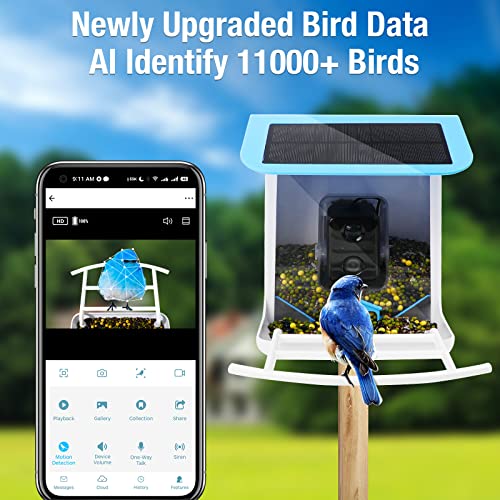 Intelligent Bird Feeder: Videos & Bird Detection Notification