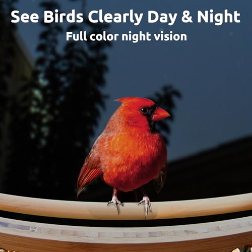Smart Bird Feeder with Camera - Eco-Friendly Bamboo
