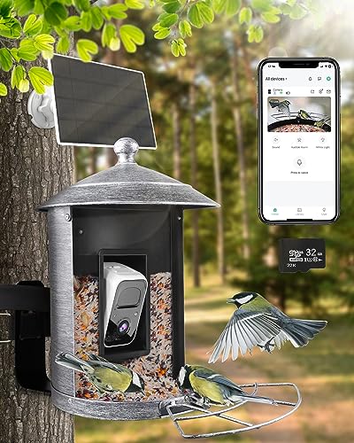 Smart Bird Feeder with Camera, Solar Metal