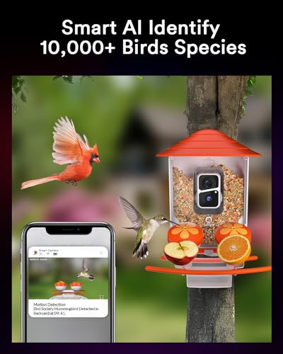 Smart AI Lumary Bird Feeder with Camera
