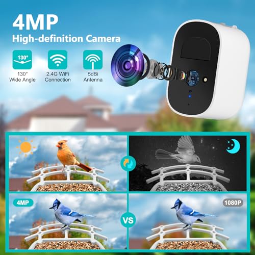 Solar-powered smart bird feeder with wireless camera