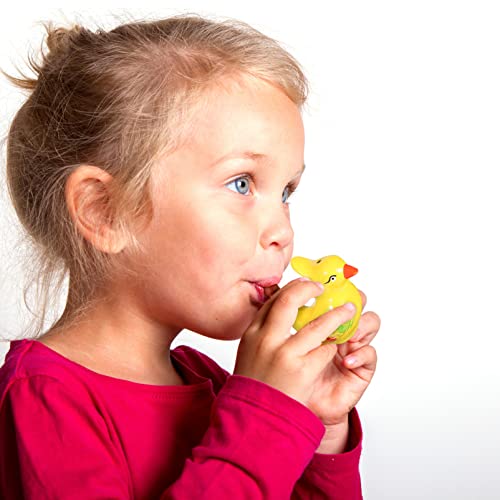 Wild Bird Water Whistle Toys - Mixed Styles