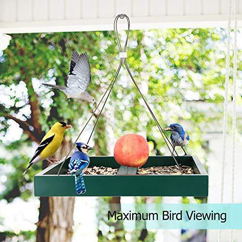 Large Hanging Garden Bird Feeder for Patio Homes