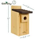 Cedar Blue Bird Box House - Wild Wings