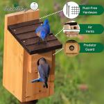 Cedar Blue Bird Box House - Wild Wings