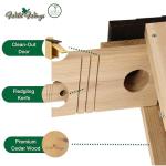 Cedar Blue Bird Box House - Wild Wings