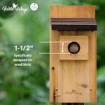 Cedar Blue Bird Box House - Wild Wings