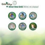 Cedar Blue Bird Box House - Wild Wings