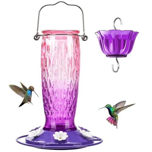 Kingsyard Hanging Glass Hummingbird Feeder 24oz - Pink/Purple