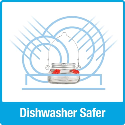 Clear Mason Jar Hummingbird Dish Feeder - 4