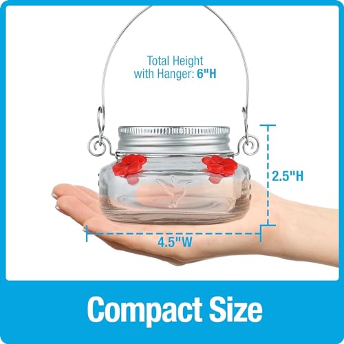 Clear Mason Jar Hummingbird Dish Feeder - 4