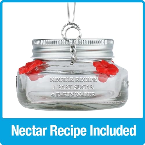 Clear Mason Jar Hummingbird Dish Feeder - 4