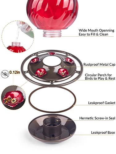 Auslar Red Glass Hummingbird Feeder, 26oz, 5 Ports