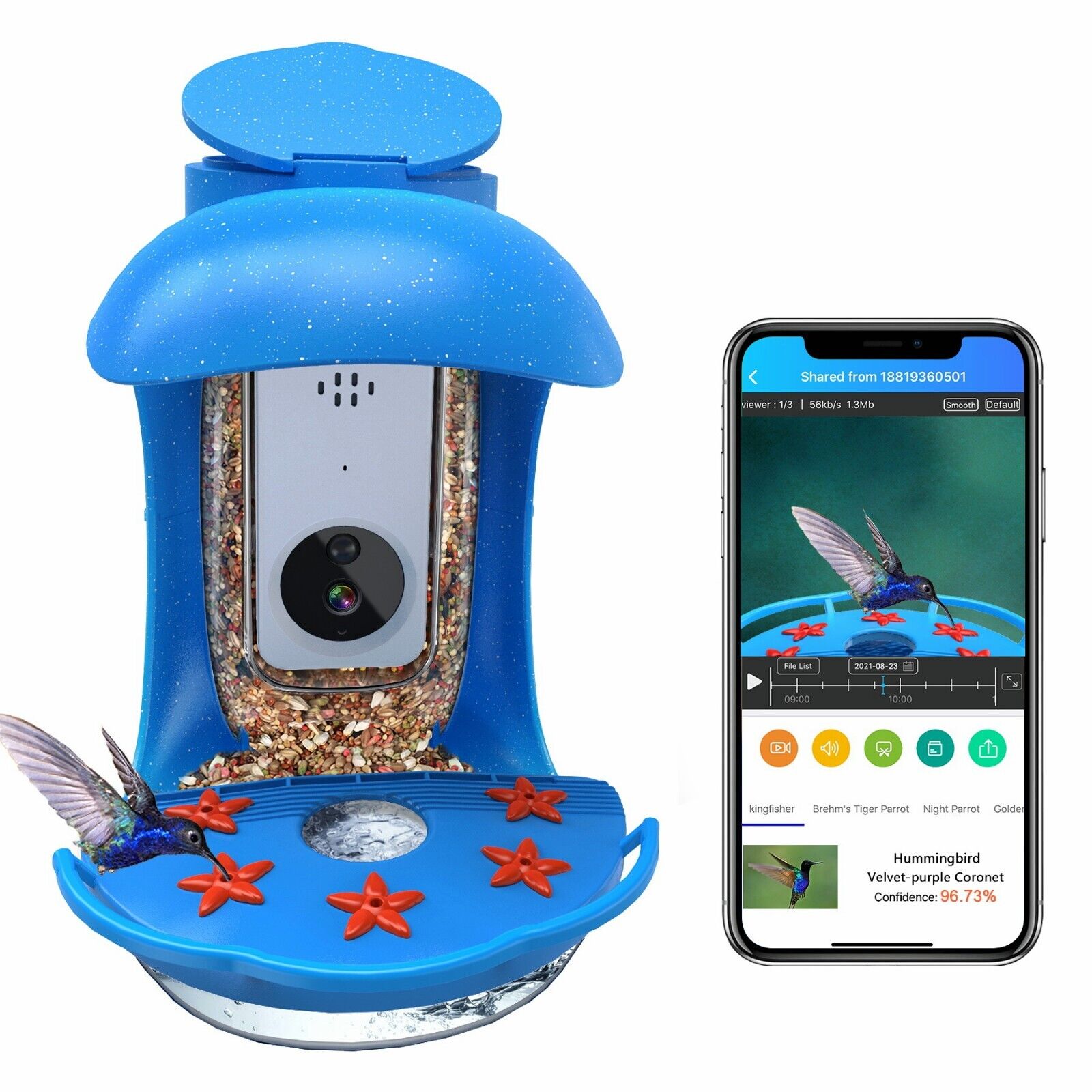 Hummingbird Feeder Camera with AI Recognition - Wild Birds