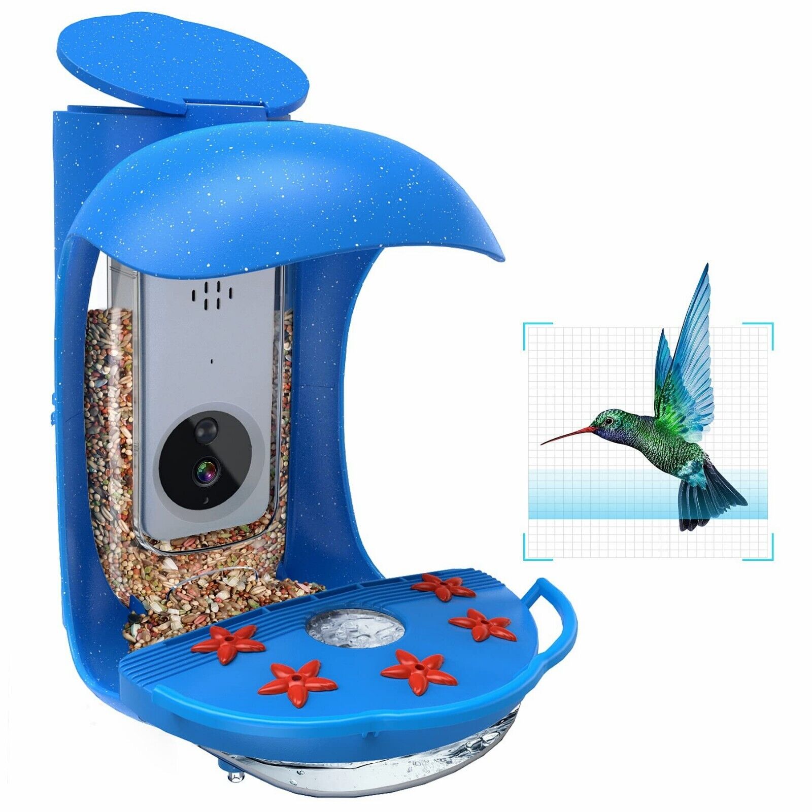 Hummingbird Feeder Camera with AI Recognition - Wild Birds