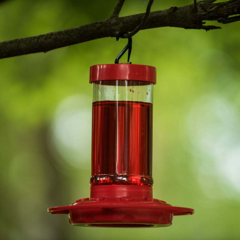 Wild Birds Hummingbird Feeder - 16 oz