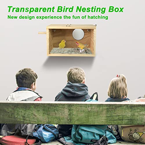 Transparent Parakeet Nesting Box with Perch