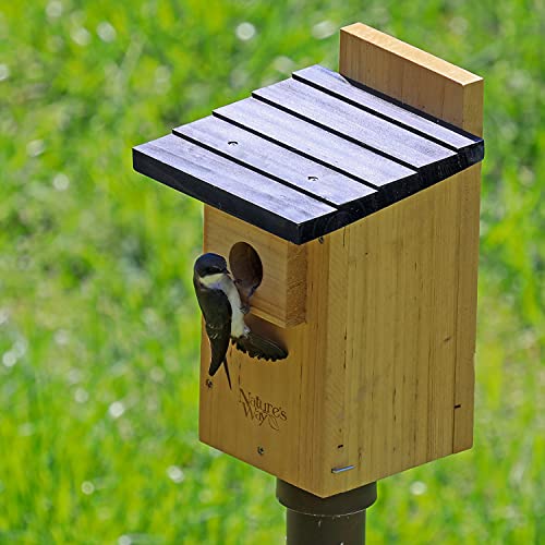 Cedar Bluebird House by Nature's Way Bird Products