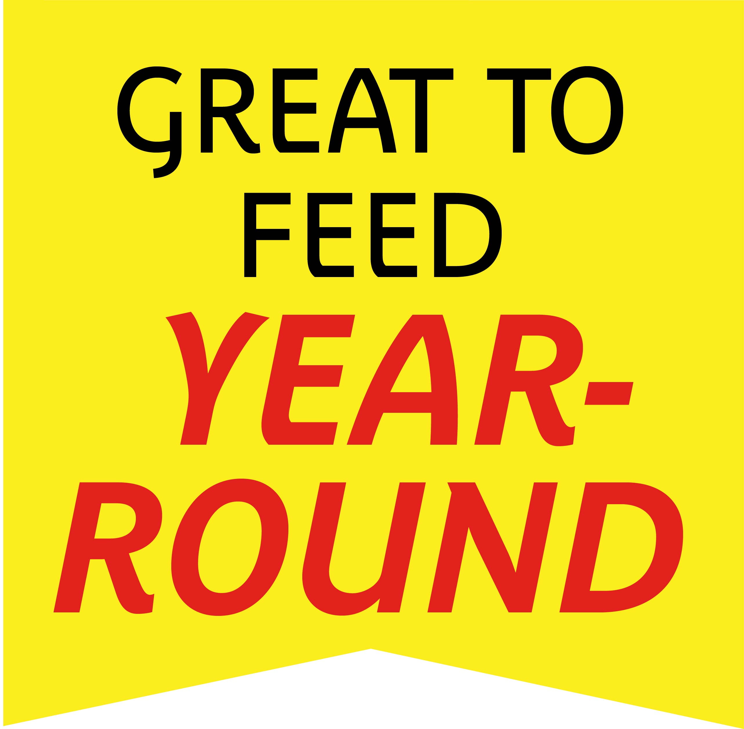 Pennington Wild Bird Feed and Seed, 40 lb