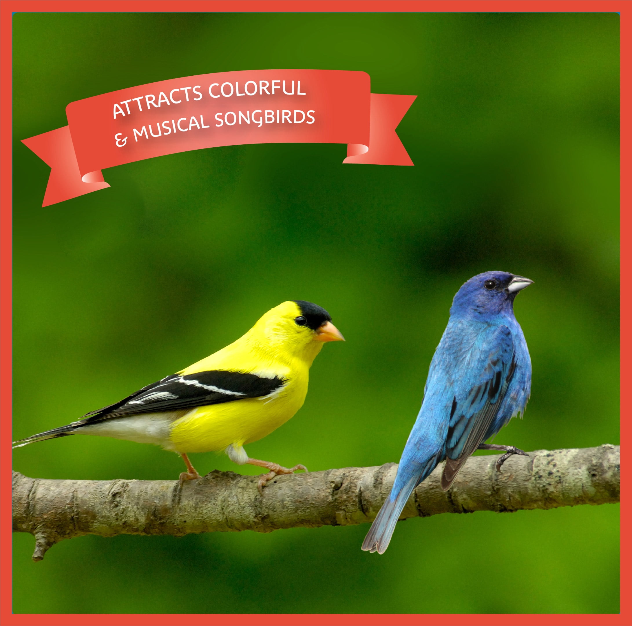 Pennington Ultra Songbird Blend - 10 lb. Bag