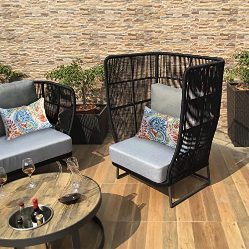 Paisley Print Outdoor Lumbar Pillows Set of 2