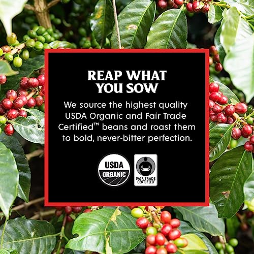 Organic Fair Trade Medium Roast Ground Coffee - 16oz
