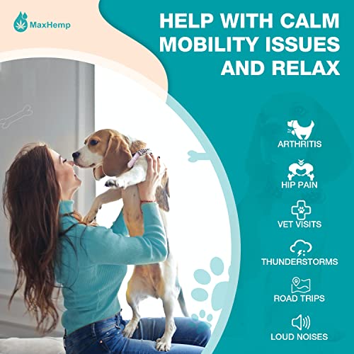 Organic Hemp Oil for Pet Anxiety and Pain Relief