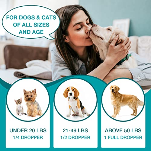 Organic Hemp Oil for Pet Anxiety and Pain Relief