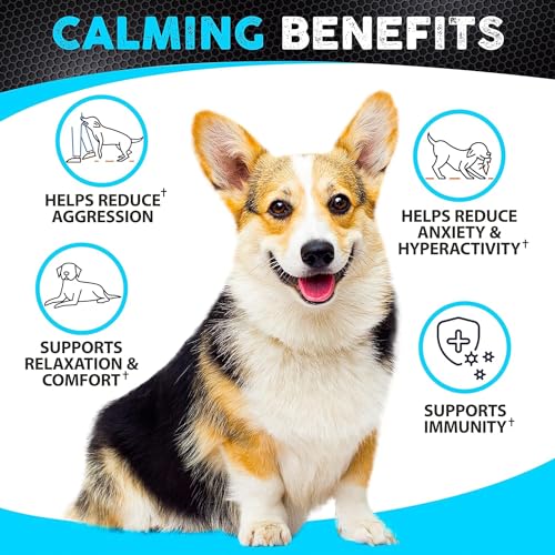 USA Made Hemp Calming Chews for Anxious Dogs