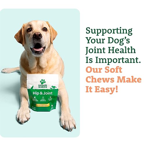 Premium Dog Joint Supplement with 120 Chews