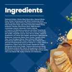 Blue Buffalo Chicken & Brown Rice Dog Food - 5lb