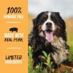 Scott Pet Pork Femur Wrapped For Pets