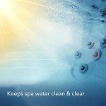 Leisure Time Spa Chlorinating Granules, 2 lbs