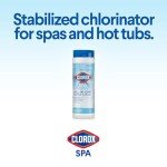 Clorox® Spa Water All-in-One Sanitizer & Shock