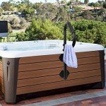 Adjustable 48"H Safety Hot Tub Handrail