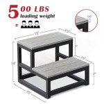 Heavy-Duty 2-Step Stool for Home Use